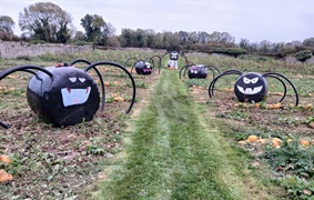 Halloween Farm 2025