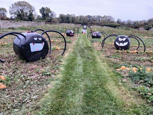 Halloween Farm 2025
